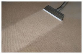 Master Cleaners residential and commercial carpet cleaning company